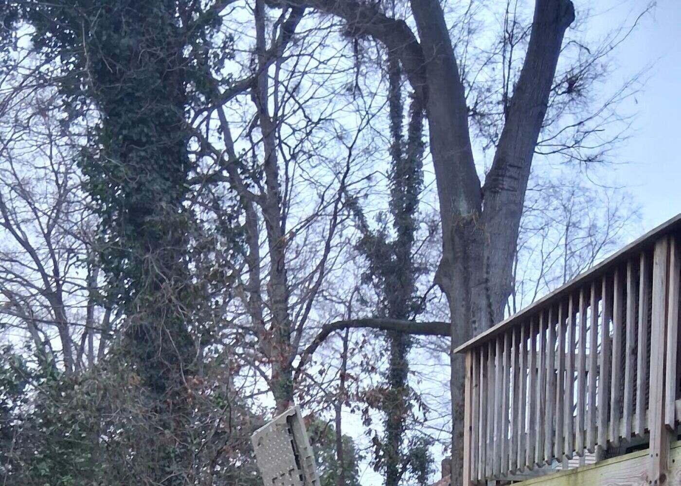 Junk Doctors — Basketball Goal Removal in service
