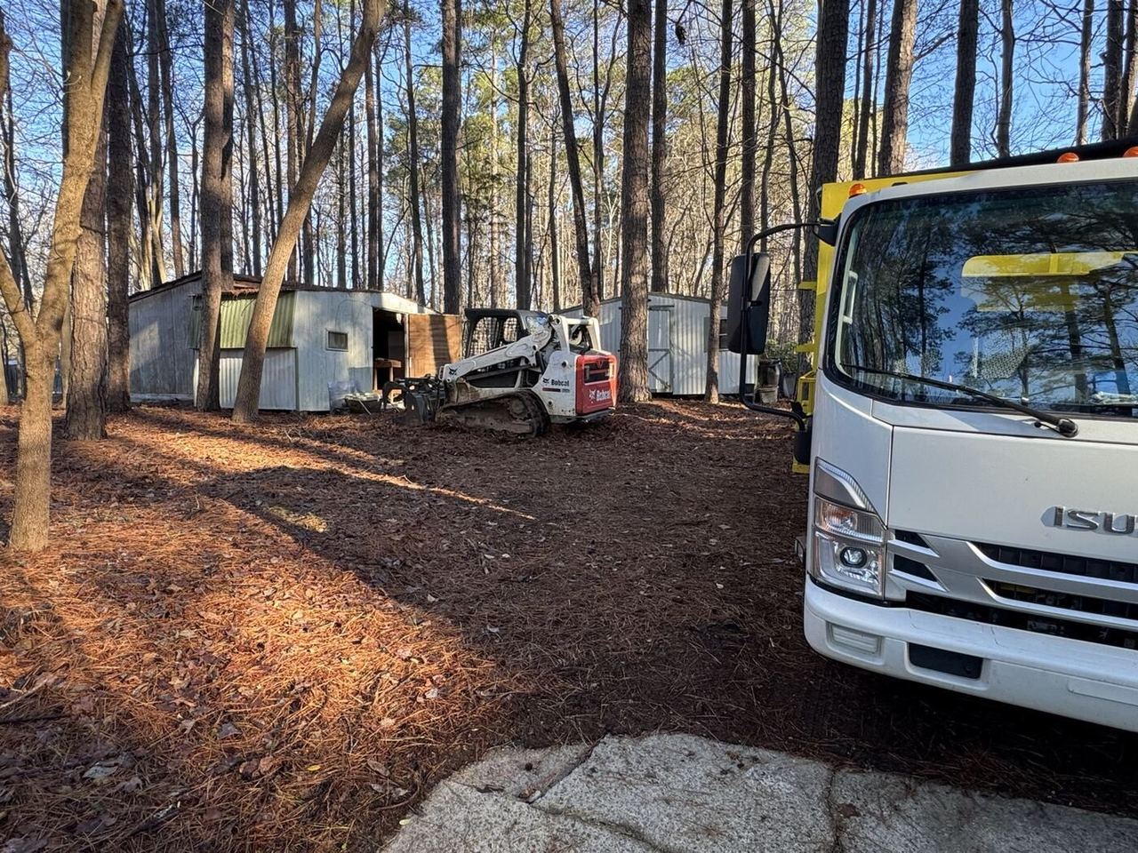 Junk Doctors — Selective service