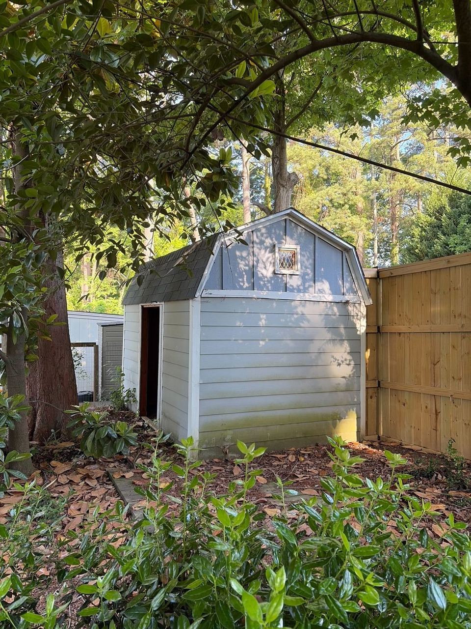 Old deteriorating shed with open door surrounded by overgrown shrubs — before Junk Doctors
