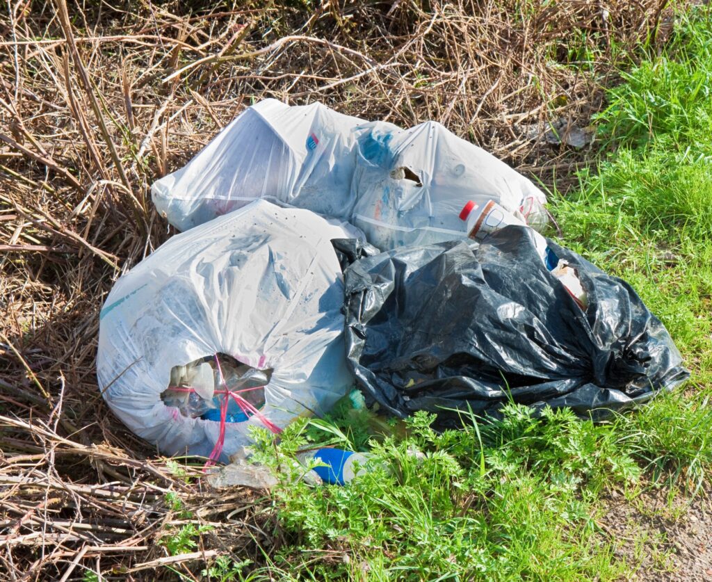 Pile of trash and bags illegally dumped near the woods in North Carolina